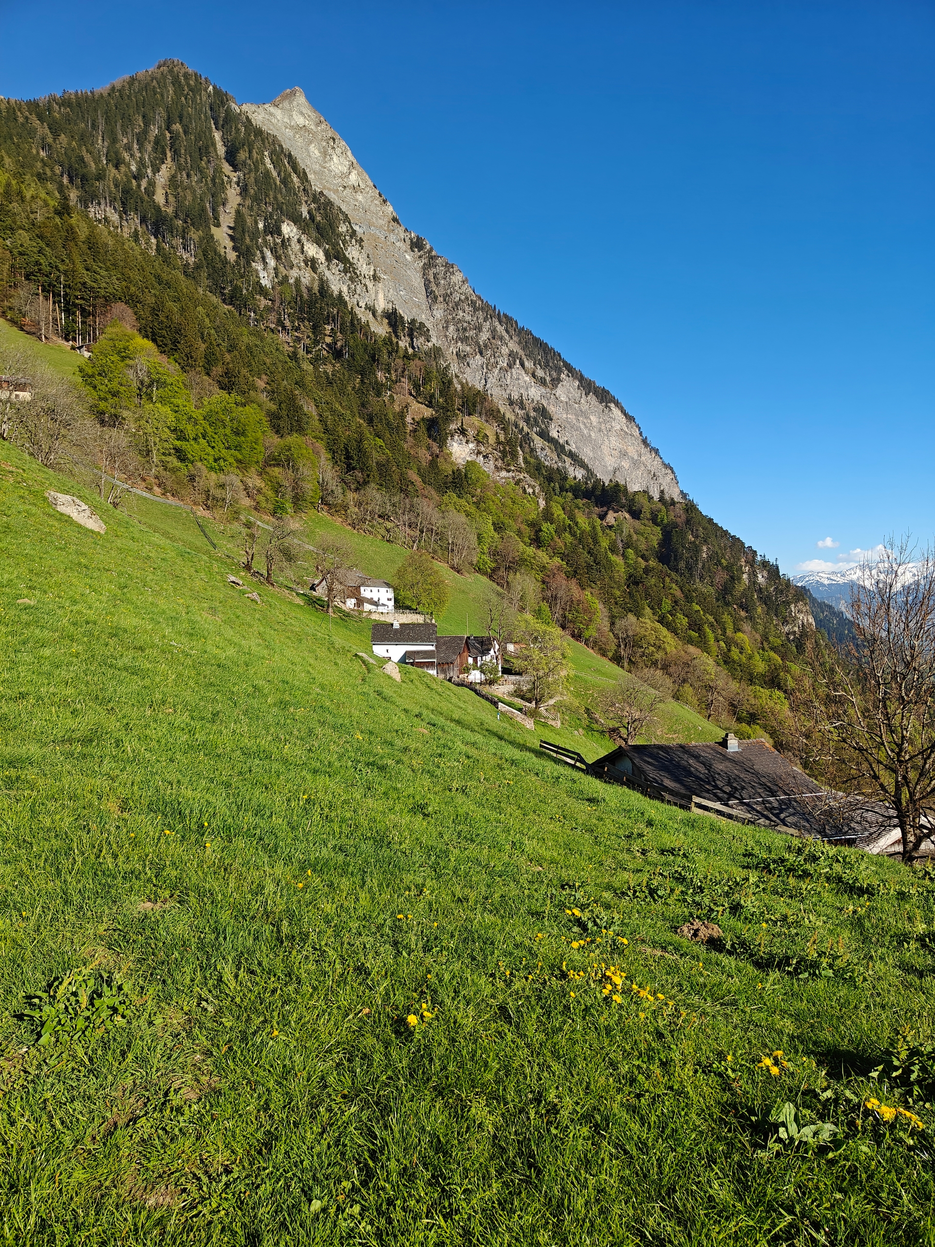 Balzers to Guscha — The Walser Settlement