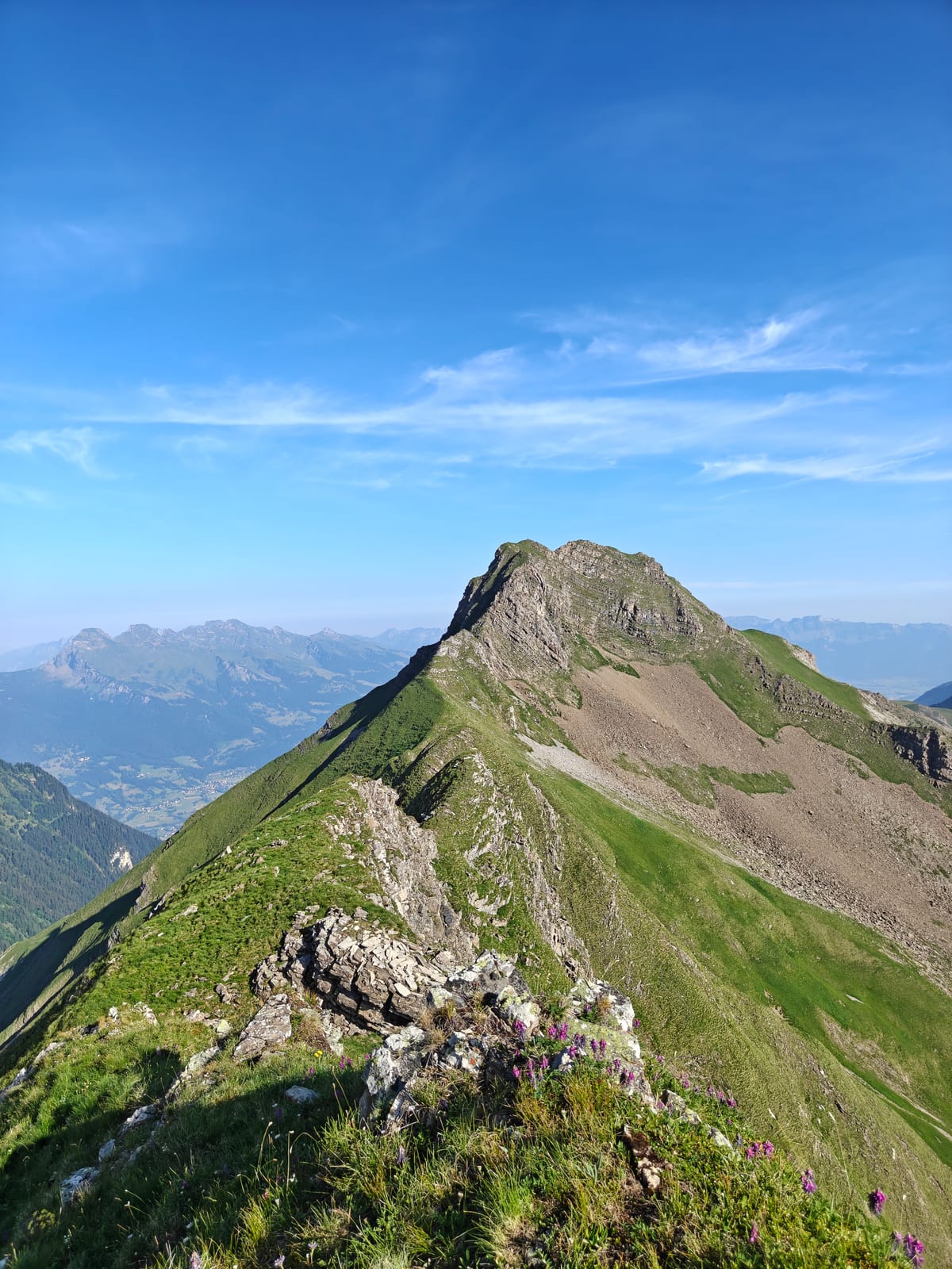 Green ridge leading toward the rocky peak of Plasteikopf