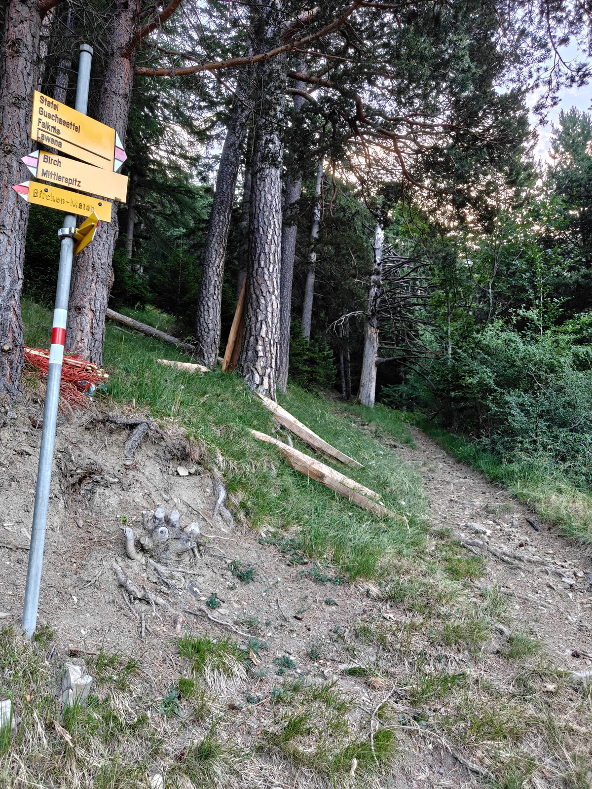 Yellow trail signpost in the forest pointing to Stafel, Guschasattel, Falknis, Lawena, Birch, Mittlerspitz and Birchen-Matan