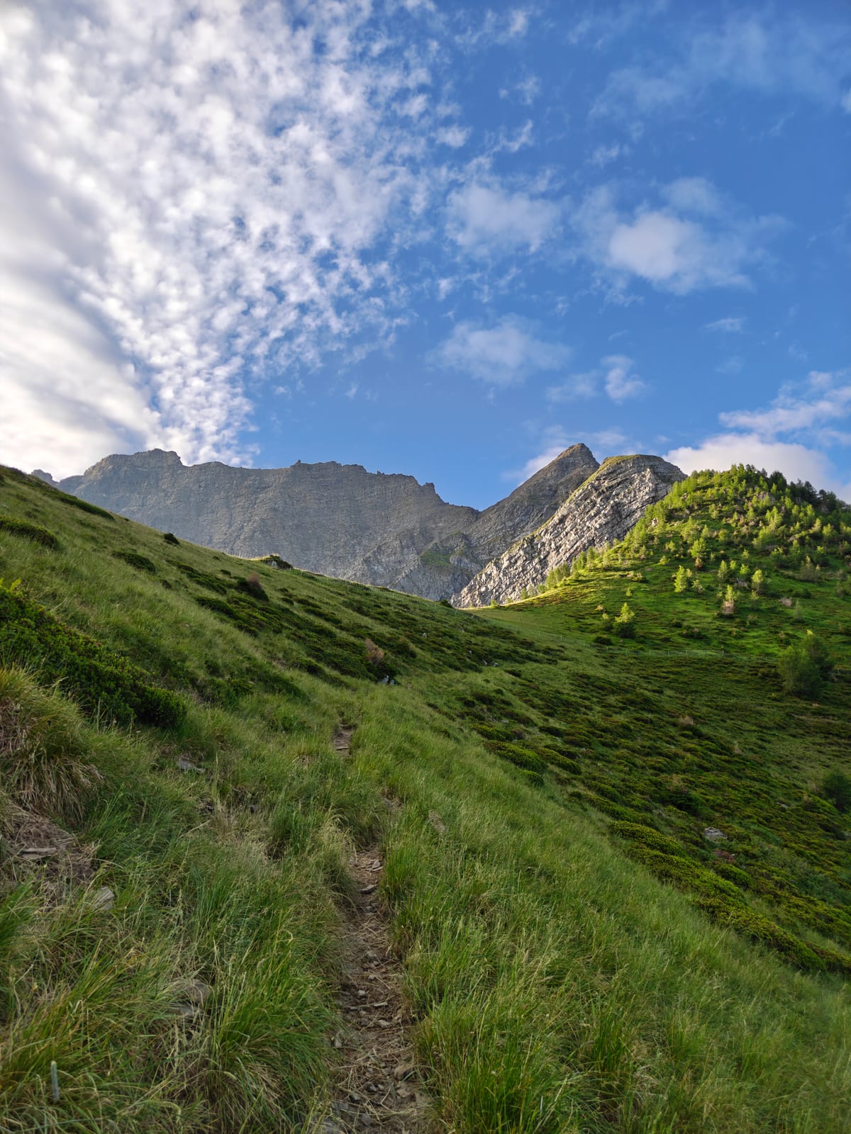 Grassy hiking trail approaching the Guschasattel, with a rocky peak to the right and Falknis visible in the distance to the left