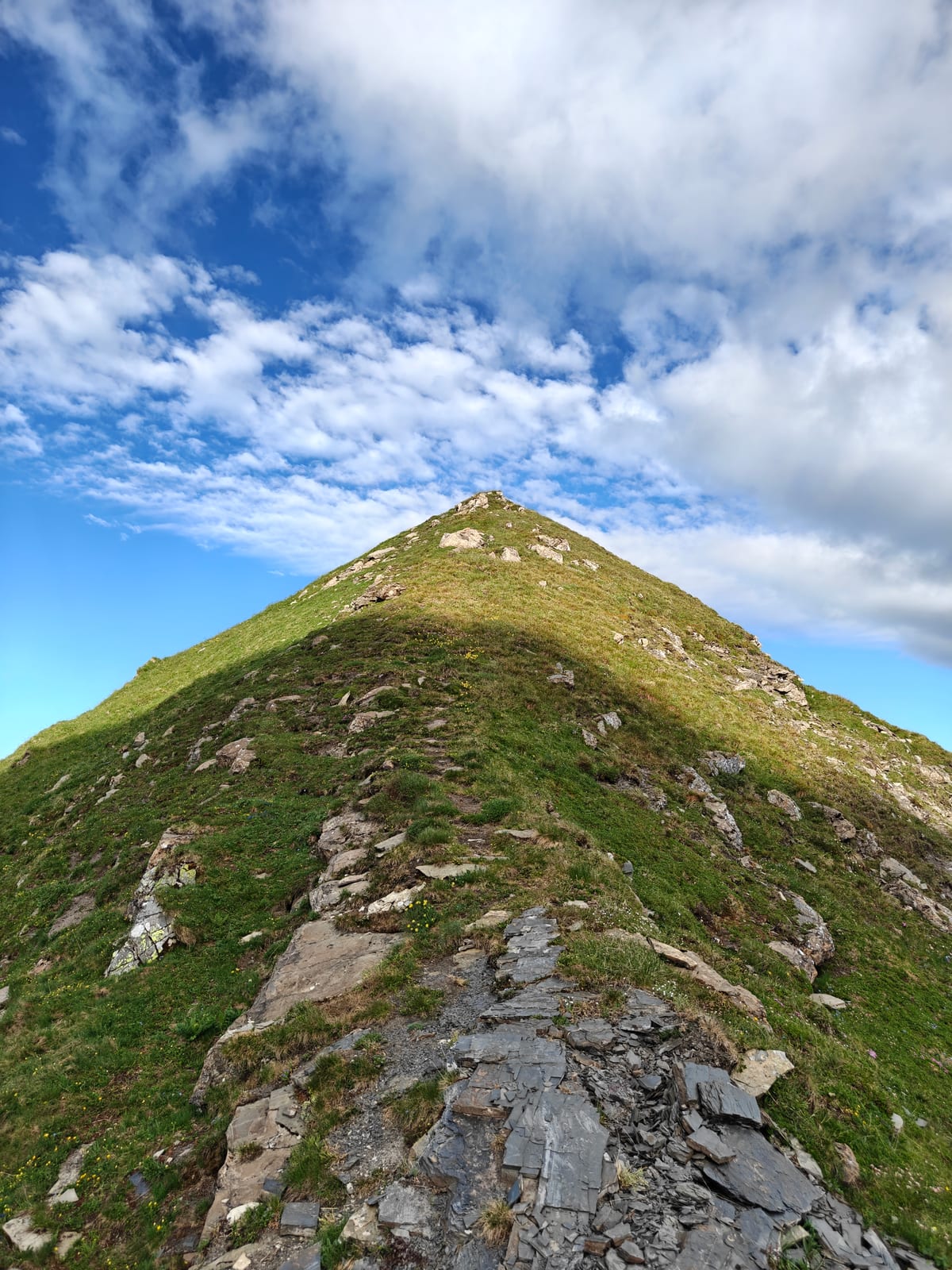 Panoramic view of the Rhine Valley from a high ridge, with a rocky summit ahead