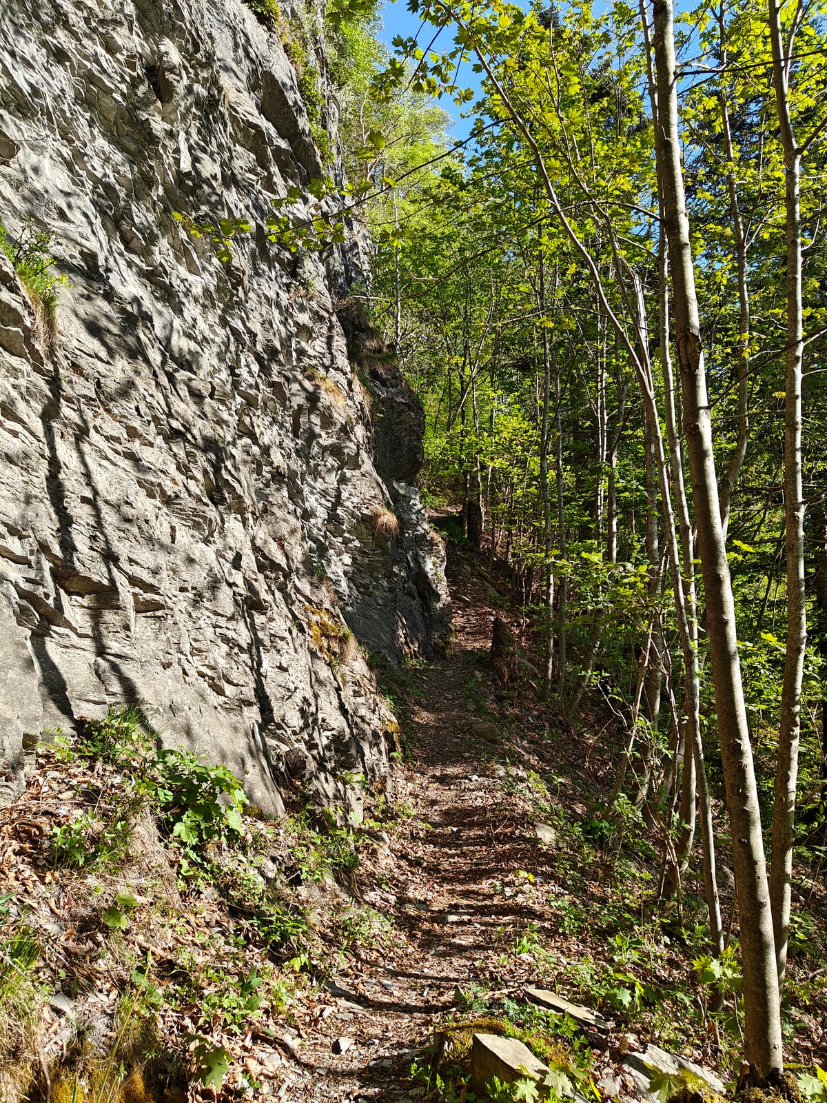 The trail running along the limestone cliff face