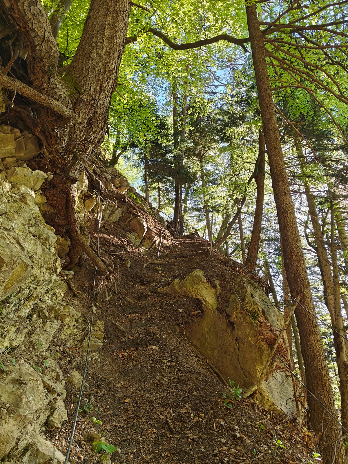 The fixed cable section on the rock face