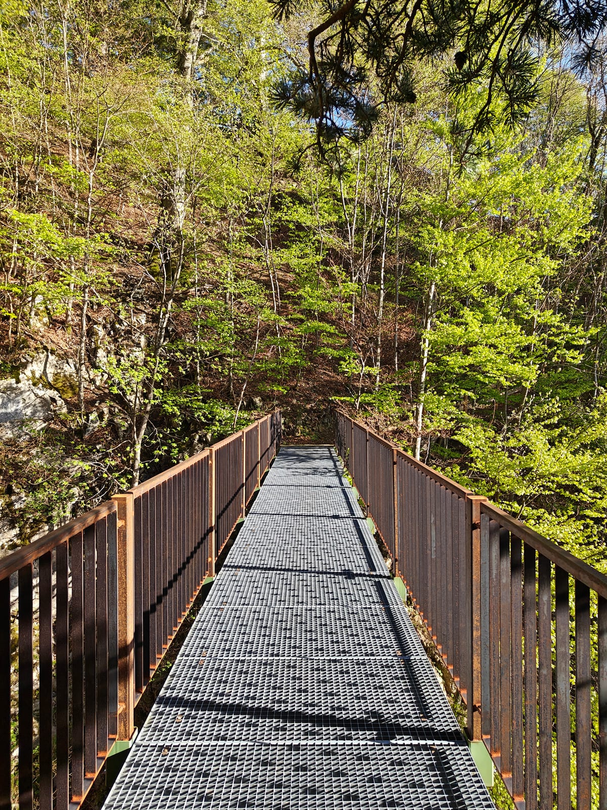 The Guschatobel bridge