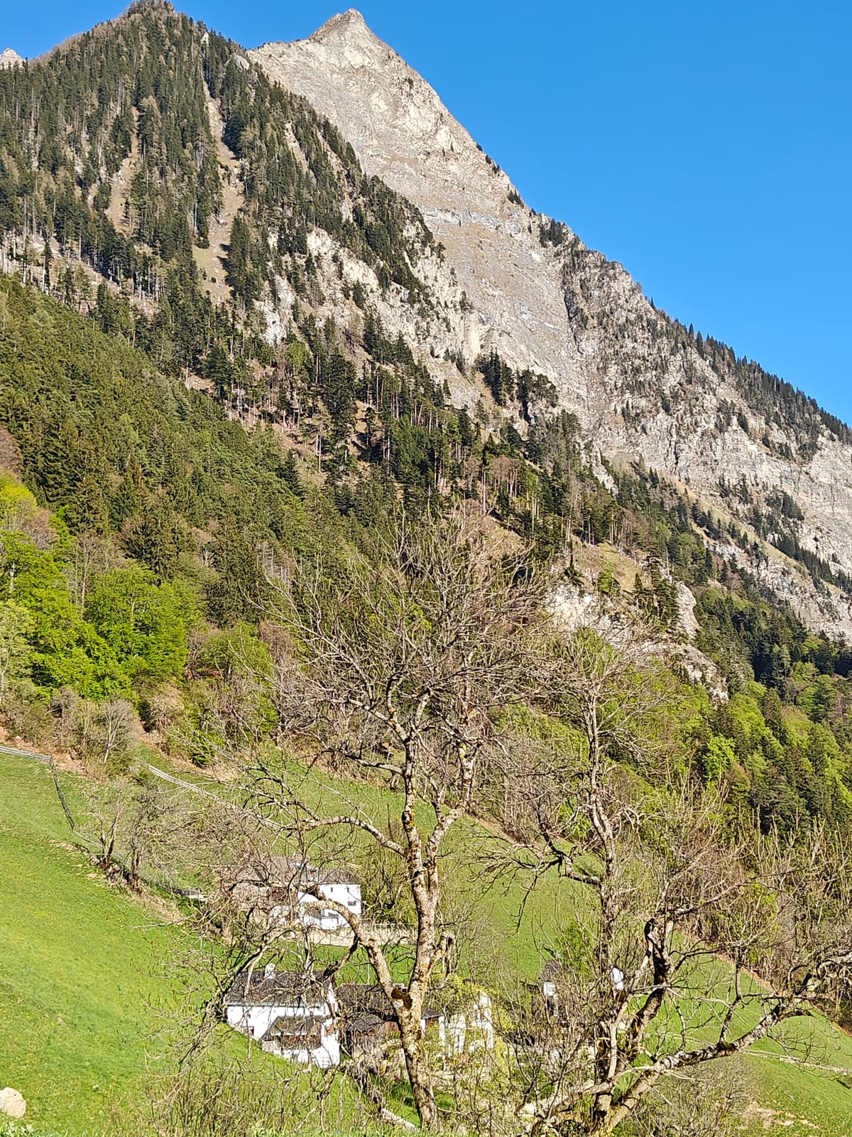 The Walser farmhouses of Guscha beneath the Gir massif