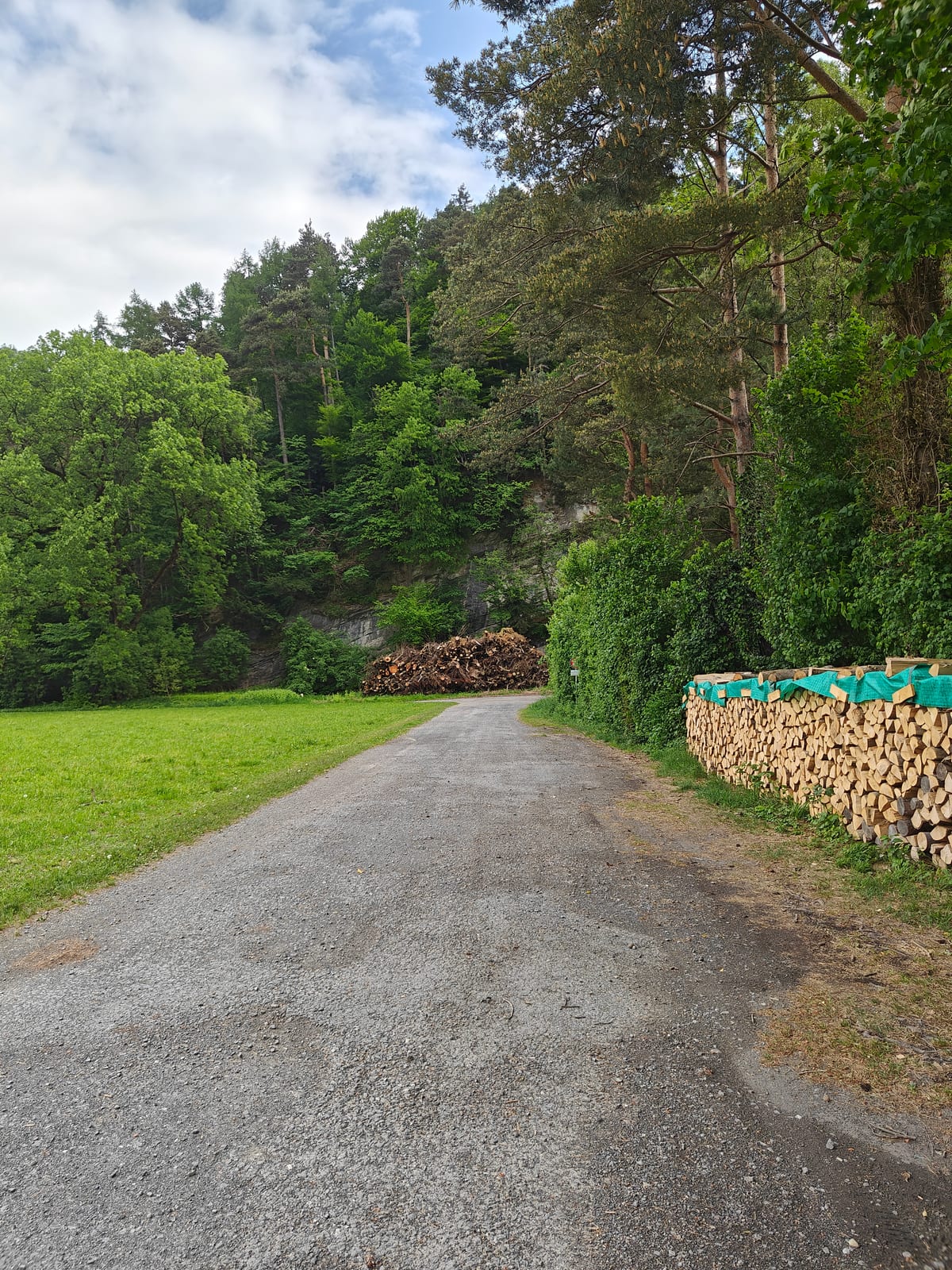 Gravel track leading into forest at the start of the trail