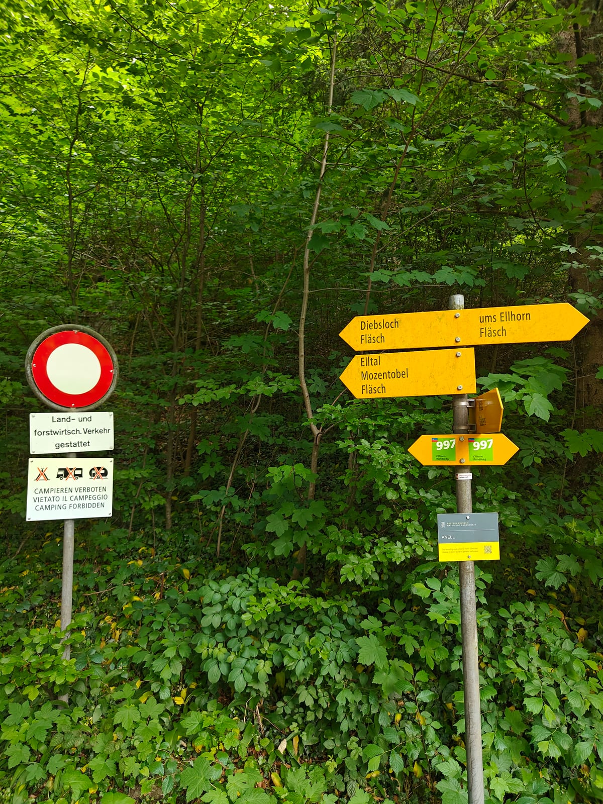 Yellow Swiss hiking signs at the trail junction in the forest