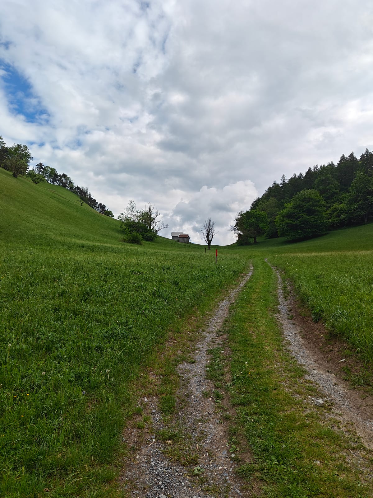 Farm track climbing through open green meadow with waymarker post