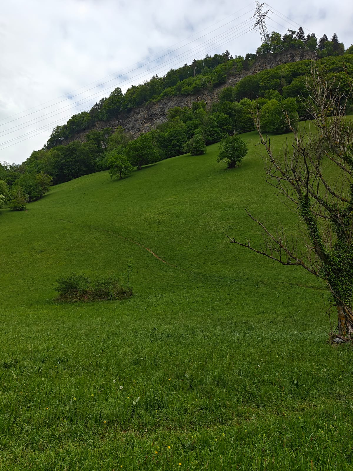 Open green meadow with limestone cliff face and electricity pylon visible above