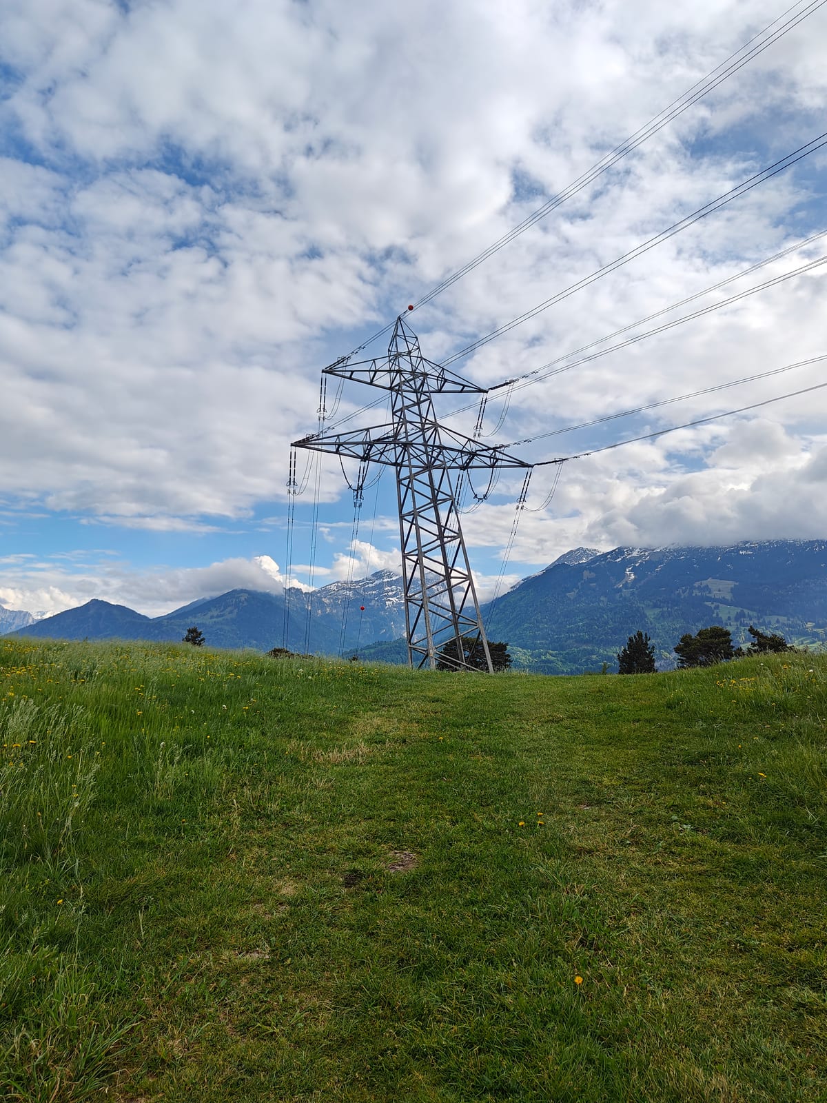 Open alpine meadow with large electricity pylon and mountain views to the south