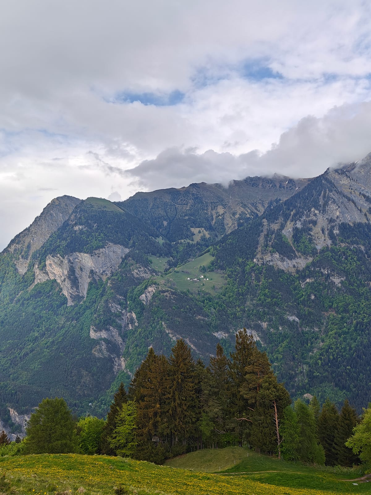Mountain view east toward the Rätikon peaks