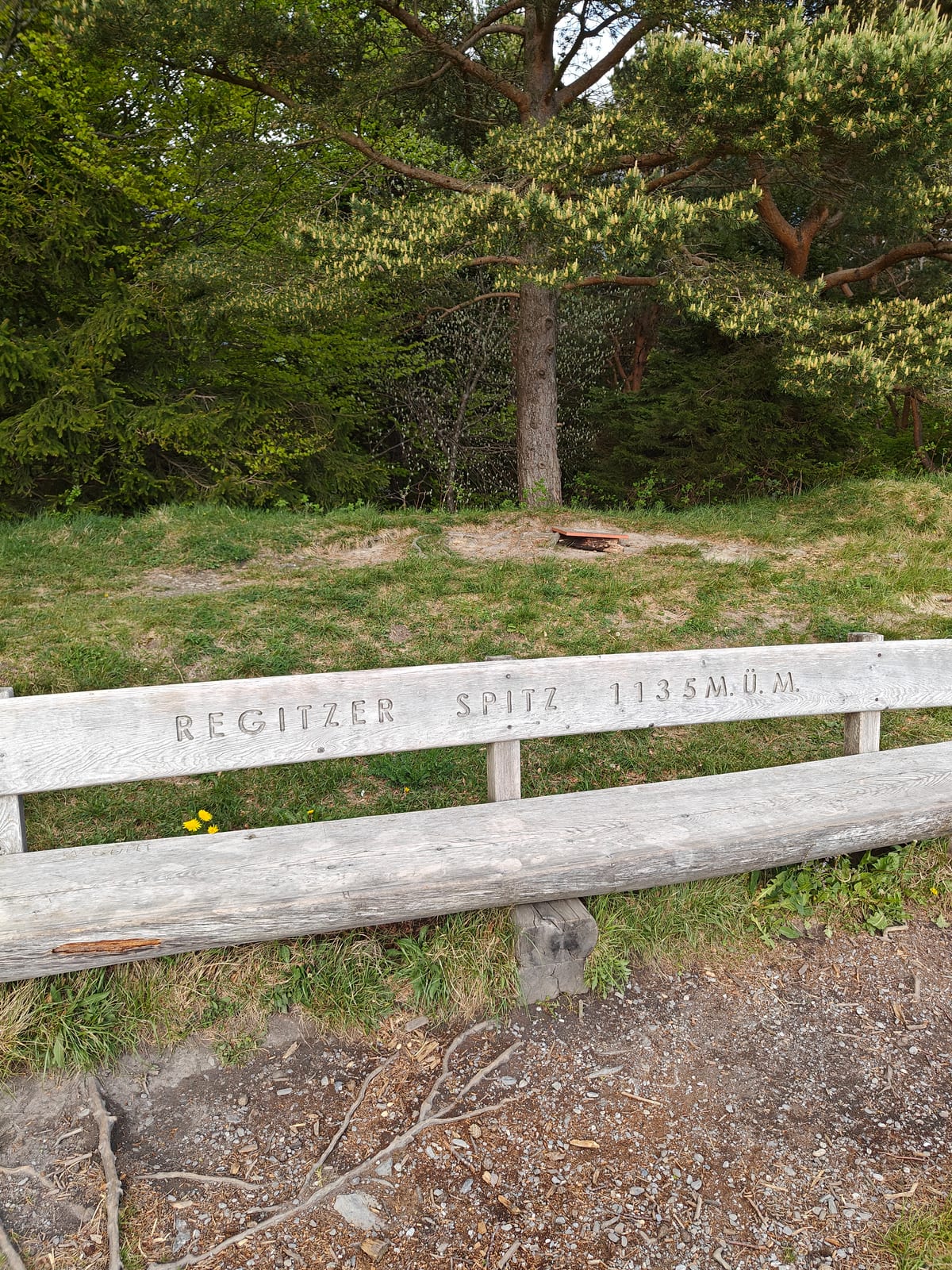 Wooden bench at summit with "Regitzer Spitz 1135 M.Ü.M." carved into it
