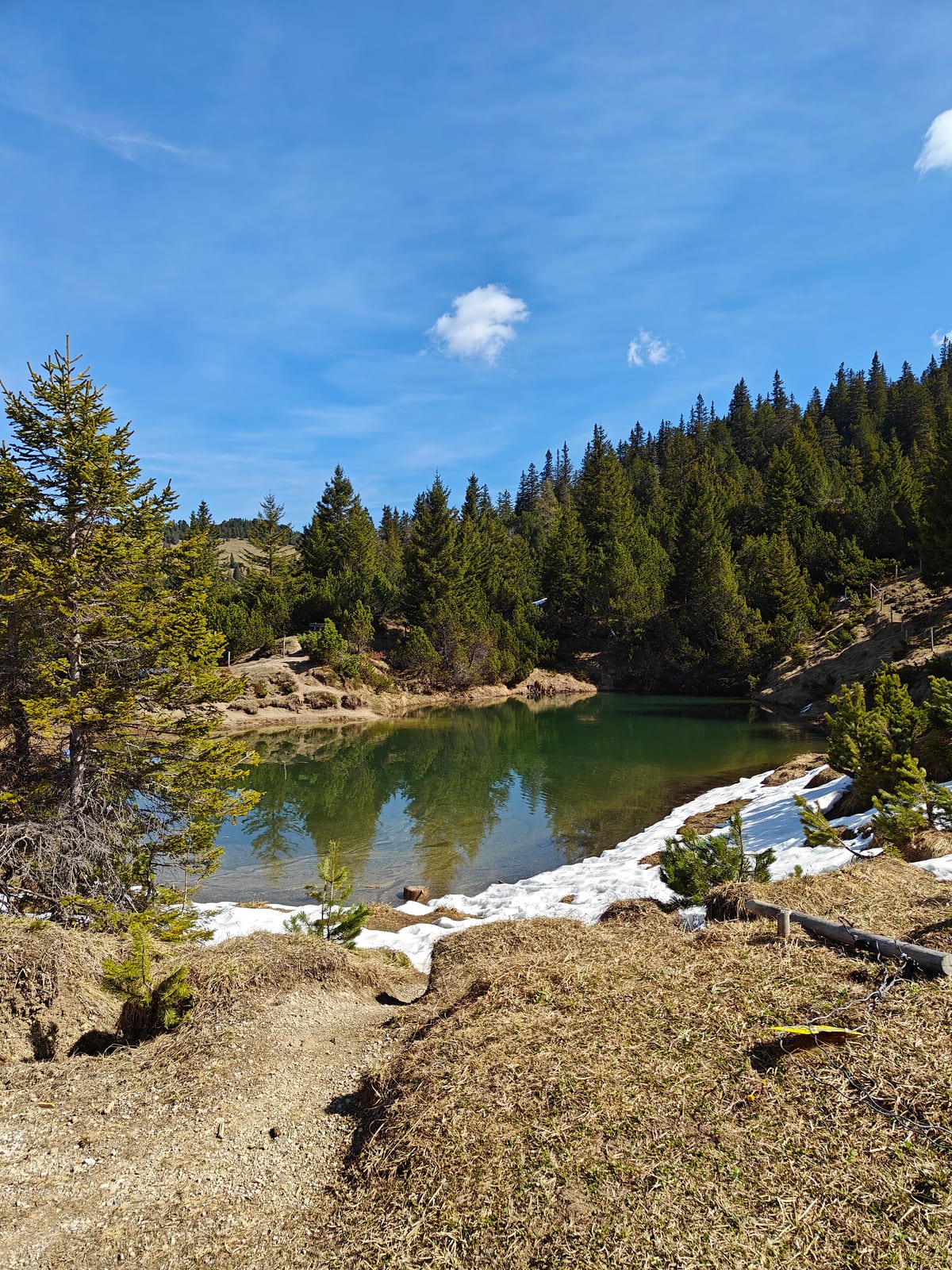Small alpine lake with snow on its shores, surrounded by fir forest