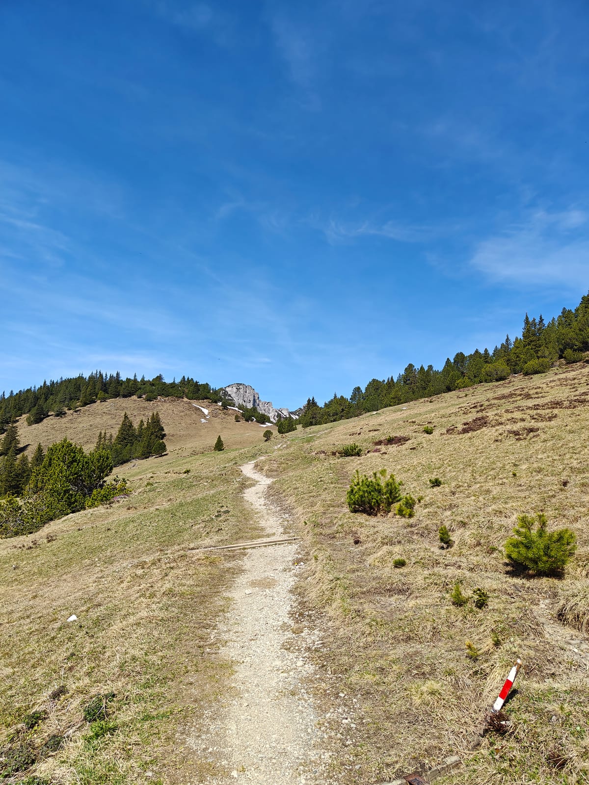 Narrow trail on open alpine meadow with red-white waymarker post and rocky summit ahead