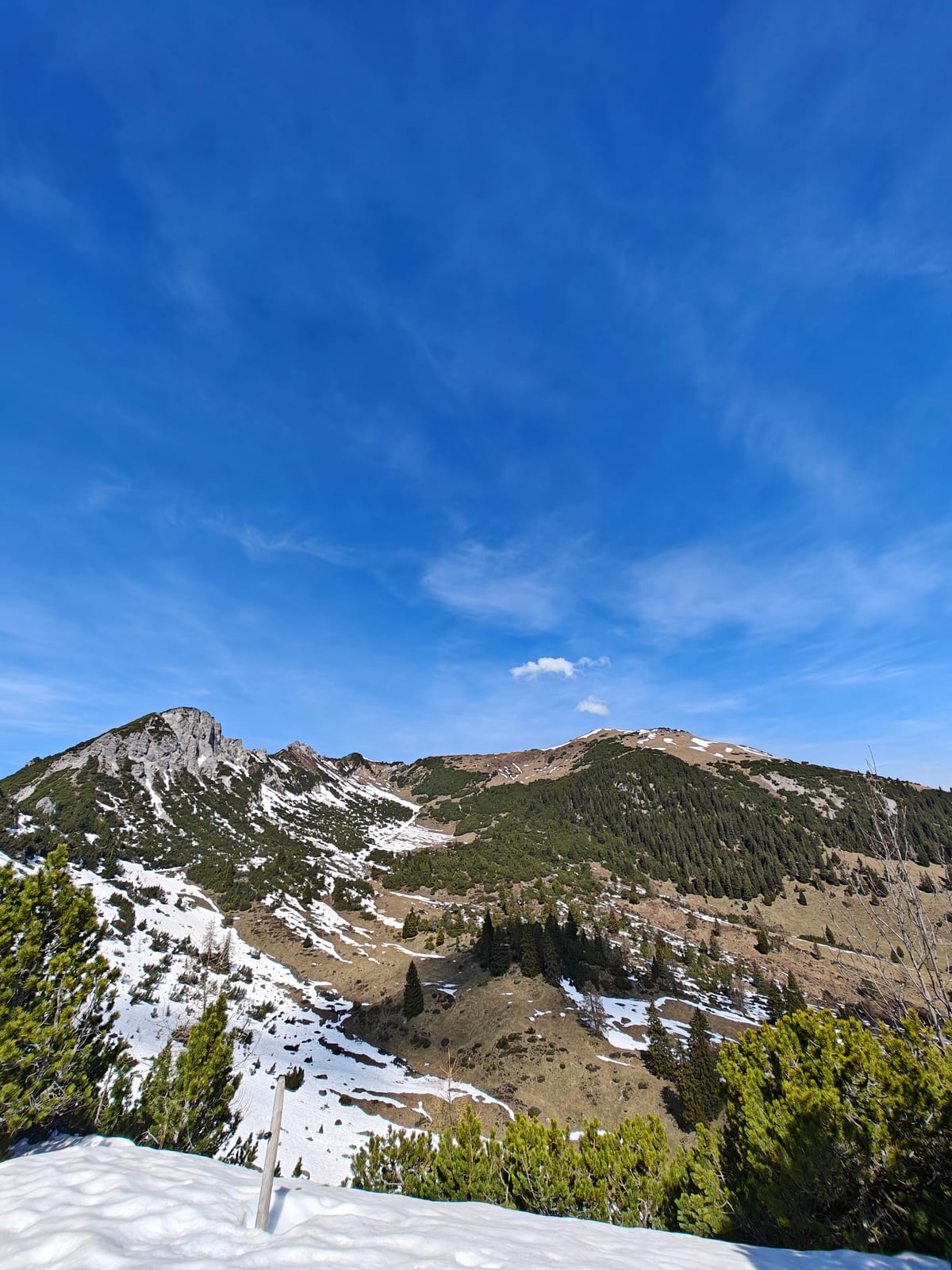 Wide view of the Schönberg massif from across the high valley