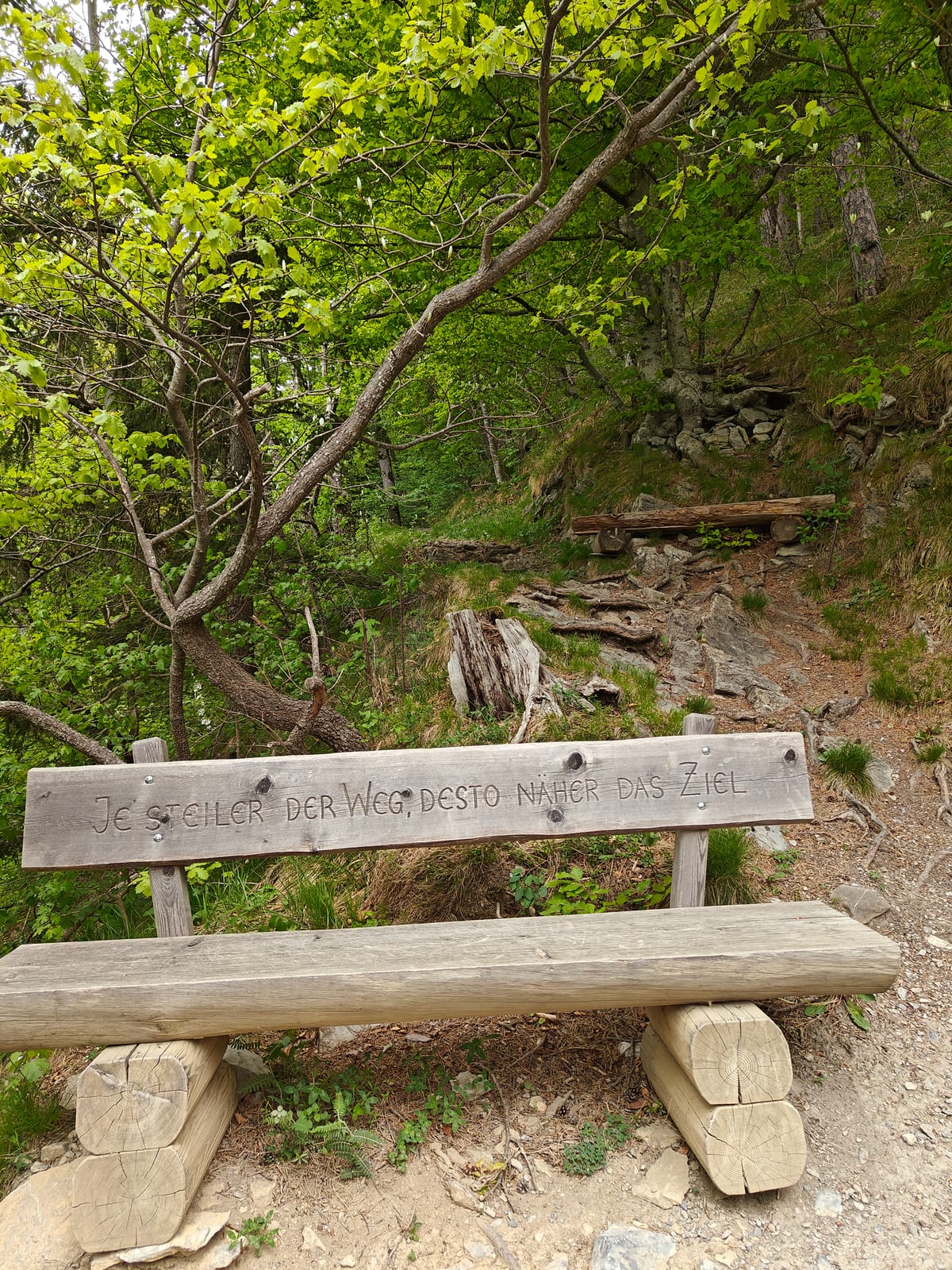 Wooden bench in the forest with carved inscription