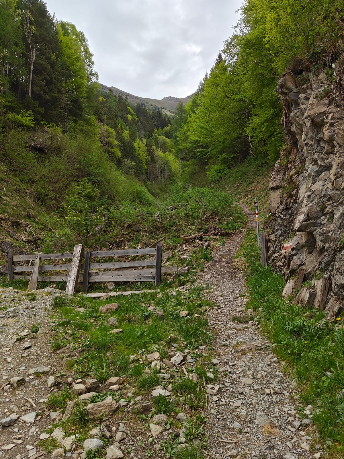 Rocky gorge with wooden fence and trail waymarker