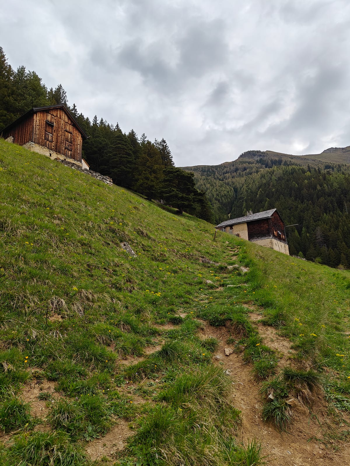 Alpine huts on steep green meadow on the approach to Alp Matan