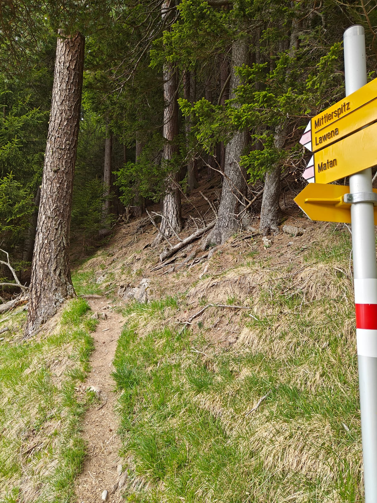 Yellow waymarker sign pointing toward Mittlerspitz, Lawene and Matan